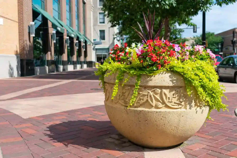 Downtown Evanston