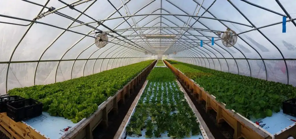 Springworks Farm