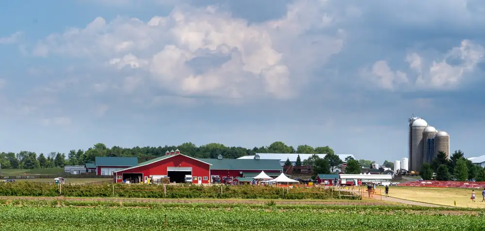 Stadeβs Farm and Market