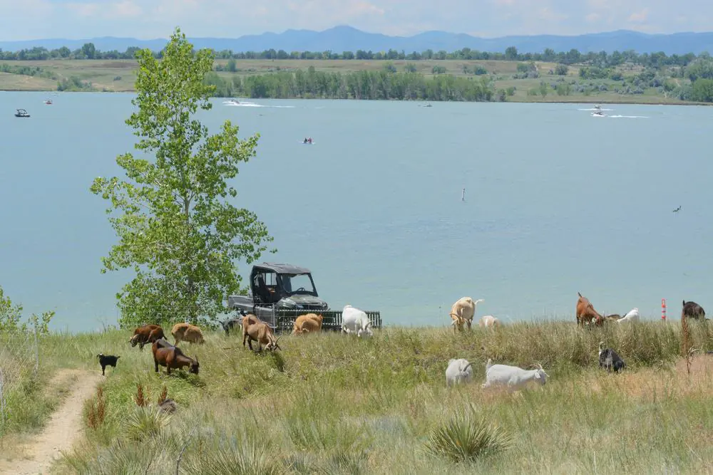 Standley Lake Regional Park