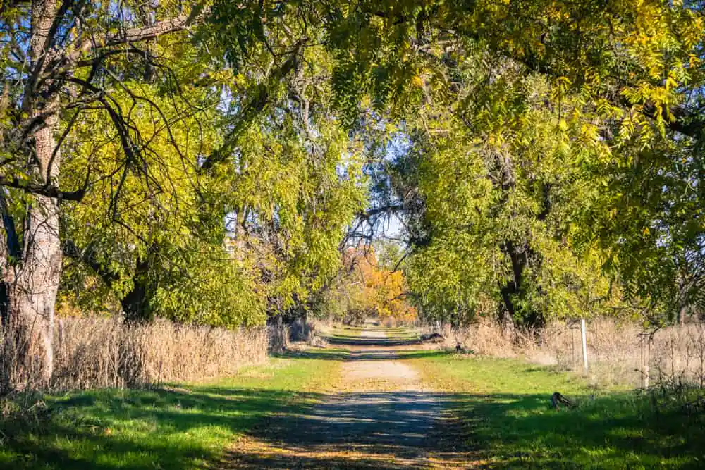 Sycamore Grove Regional Park