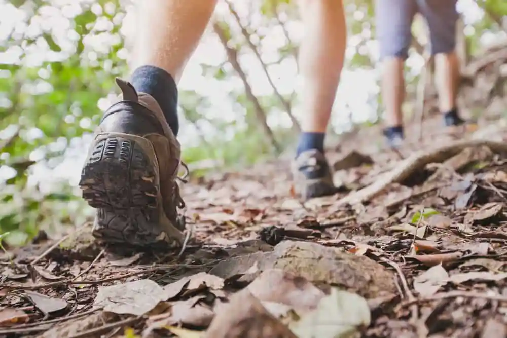 Hiking