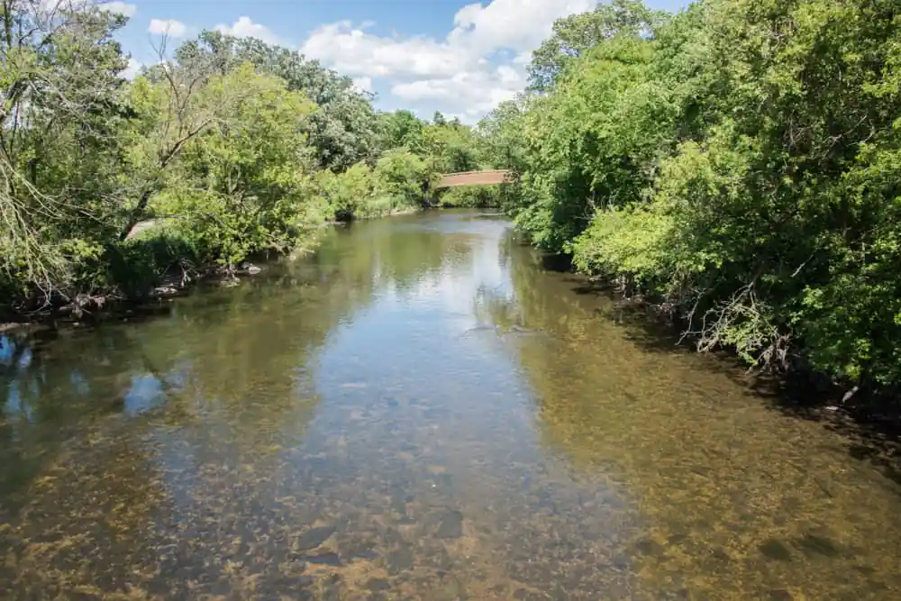 West Branch Forest Preserve