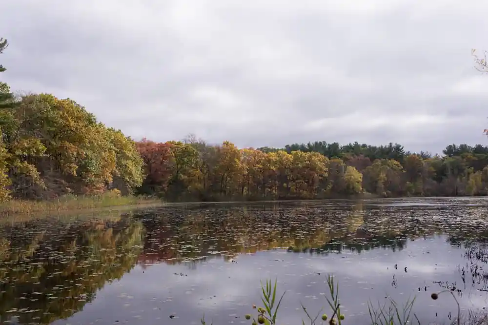 Blue Hills Reservation