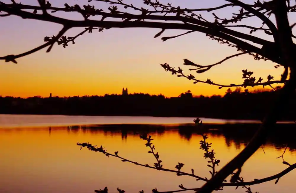Chestnut Hill Reservoir