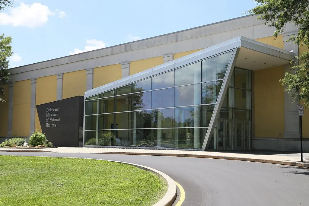 Delaware Museum of Natural History