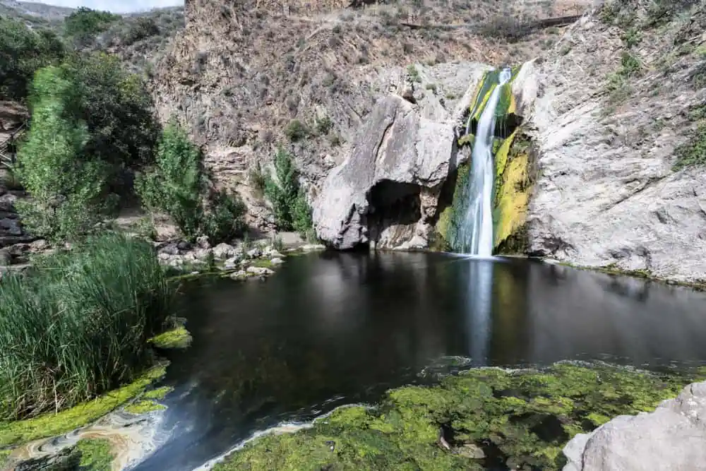 Wildwood Regional Park