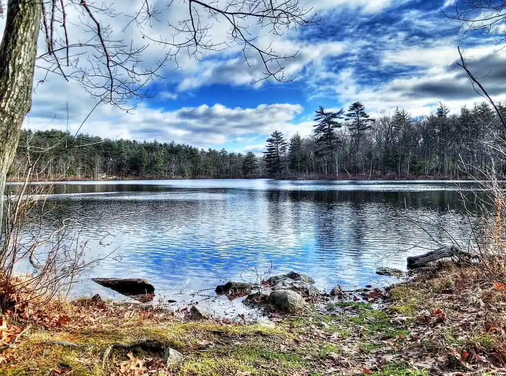 Fawn Lake