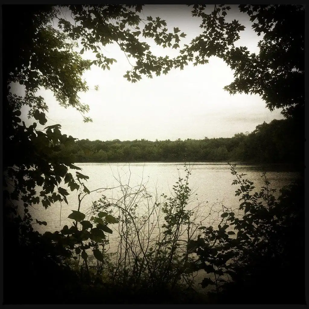 Fisher Meadows