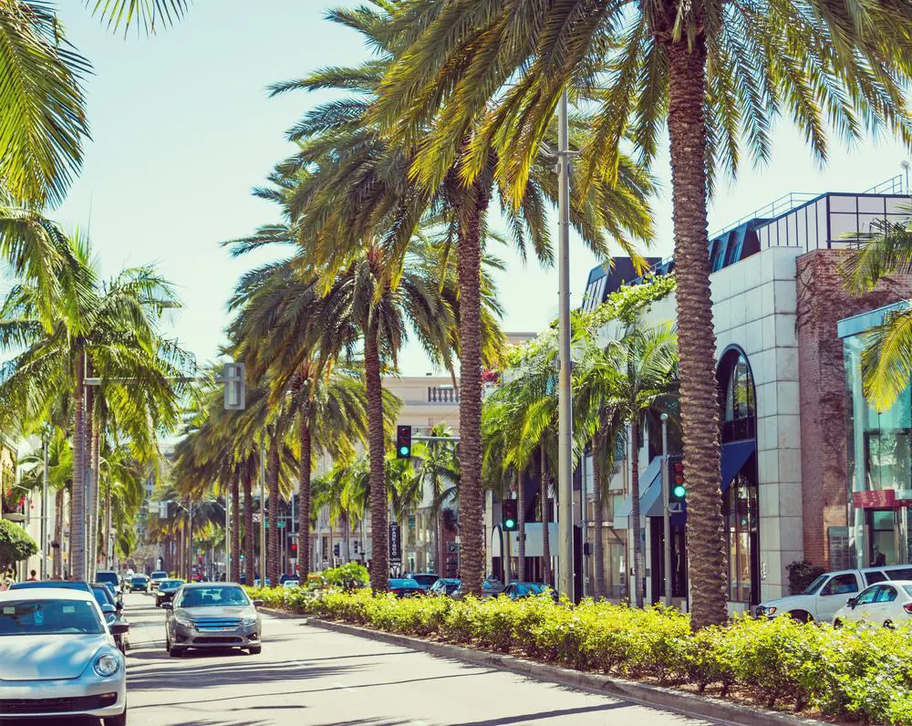 Rodeo Drive