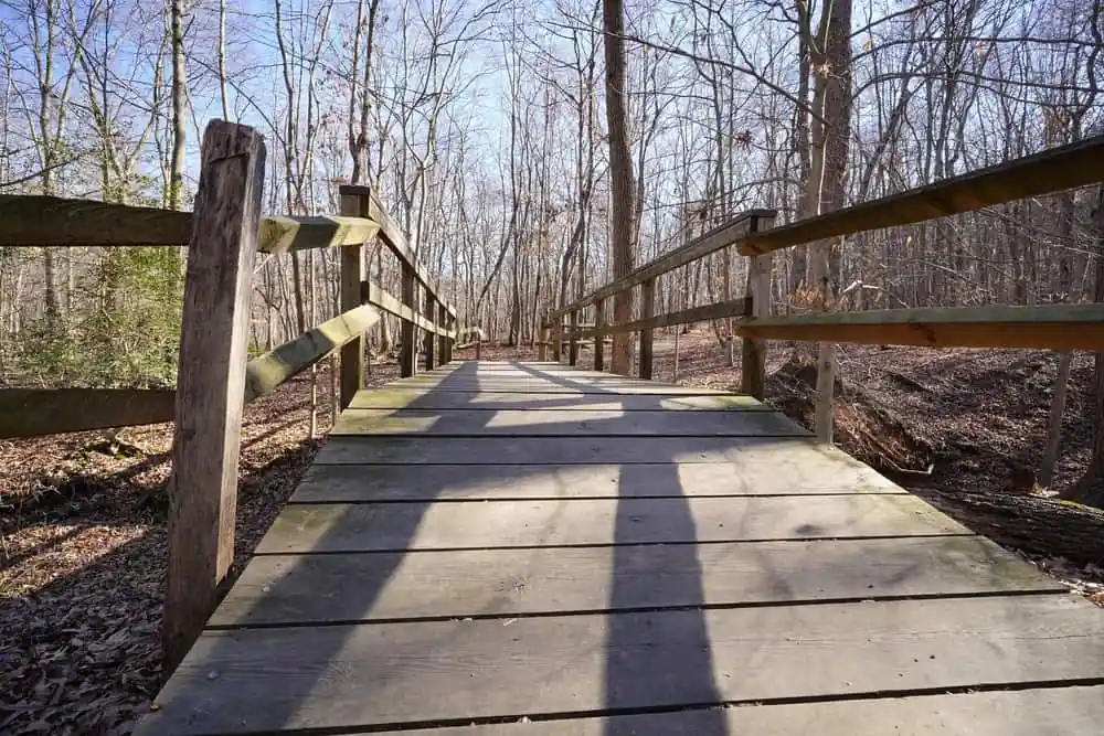 Greenbelt Park