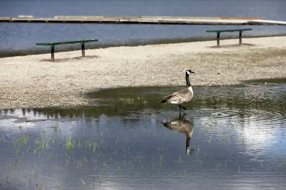 Hauser Lake Park