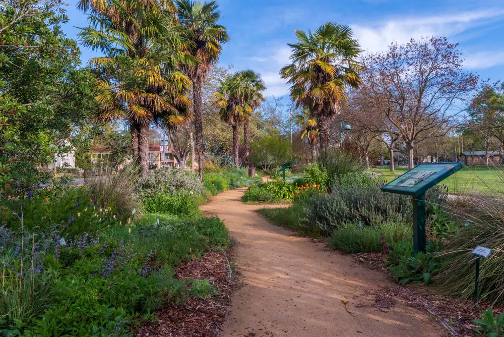Davis Central Park