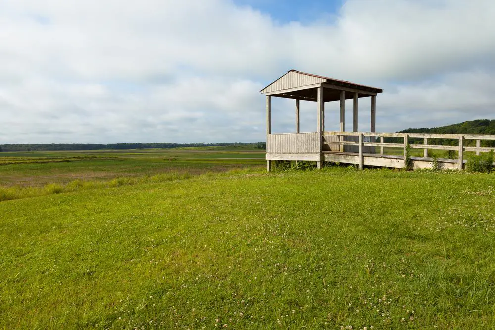 Lower Hatchie National Wildlife Refuge