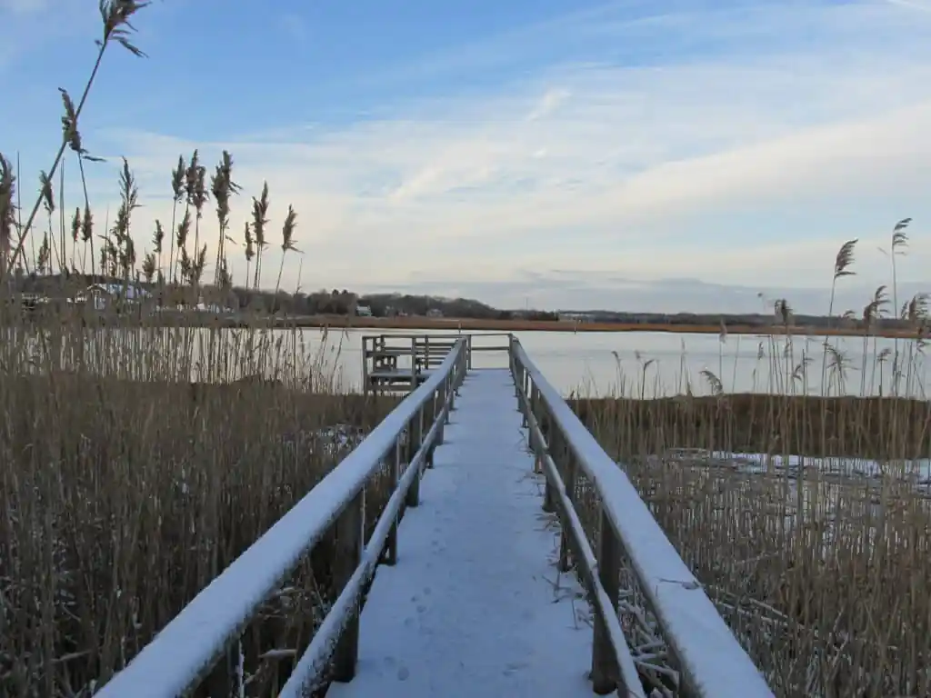 Mass Audubon's North River Wildlife Sanctuary