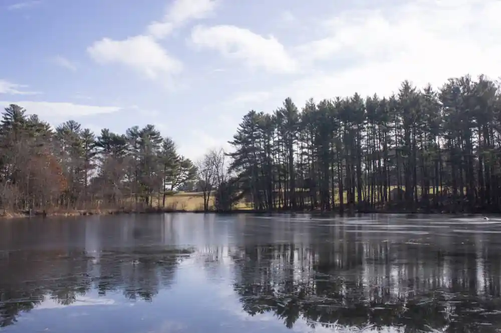 North Hill Marsh