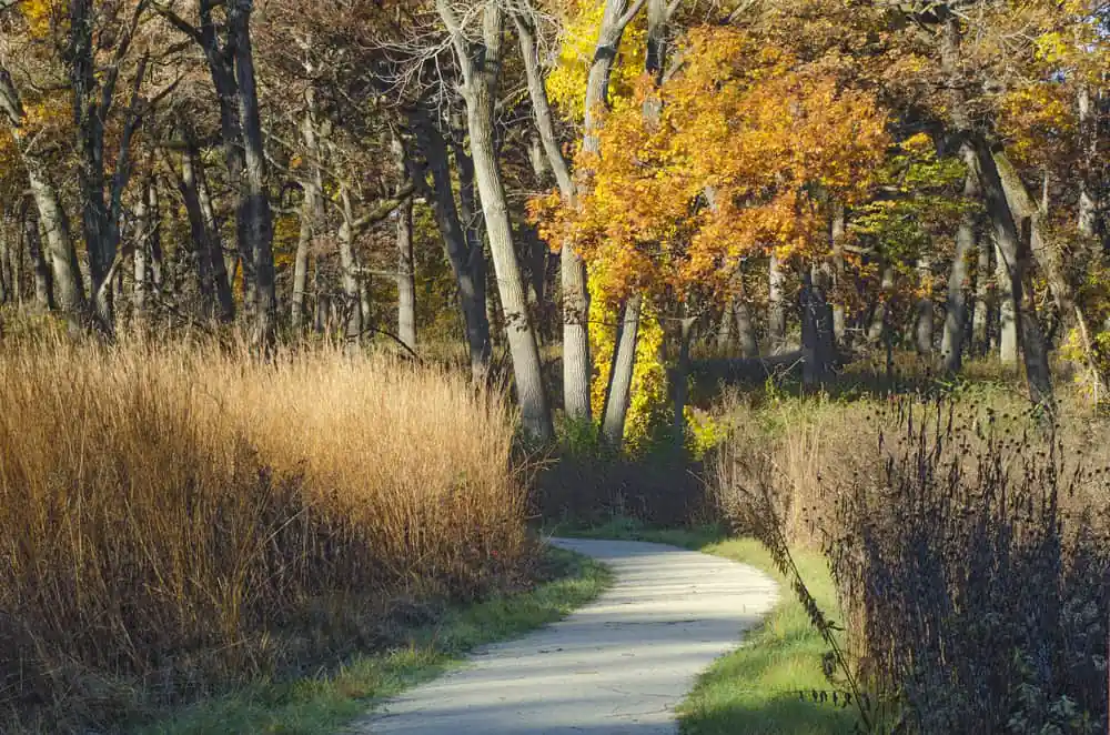 Oldfield Oaks County Forest Preserve