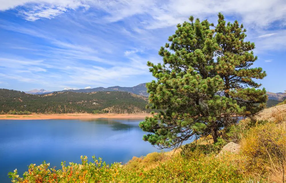 Pinewood Reservoir