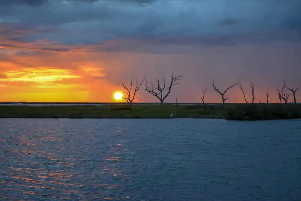 Pointe-aux-Chenes Wildlife Management Area