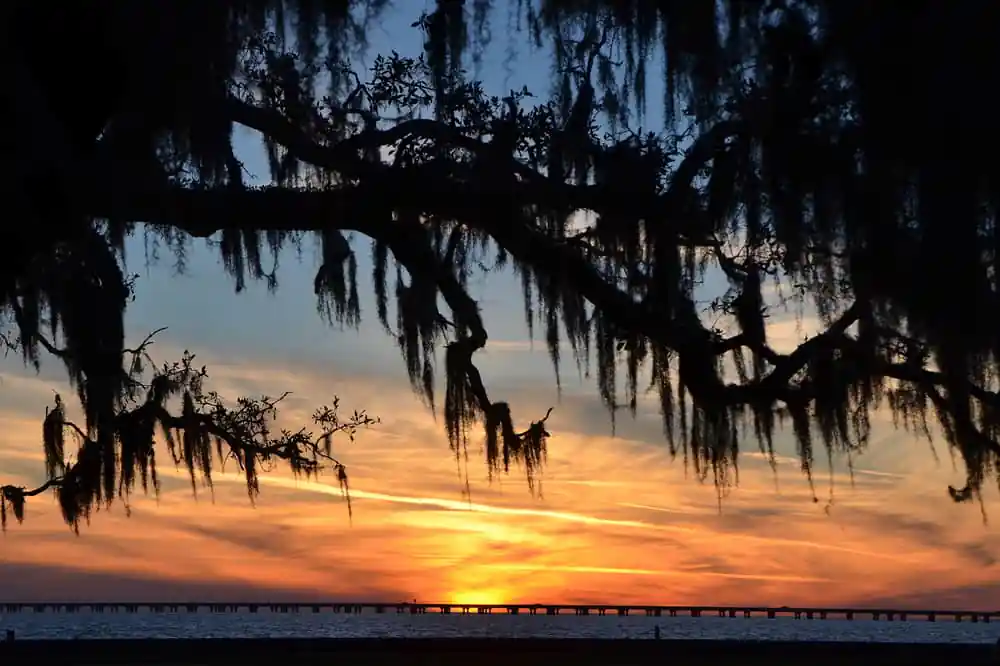 Pontchartrain Lakefront Trail