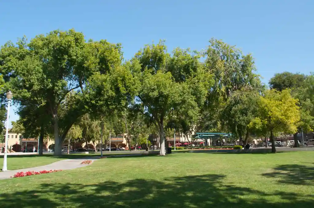 Todos Santos Plaza