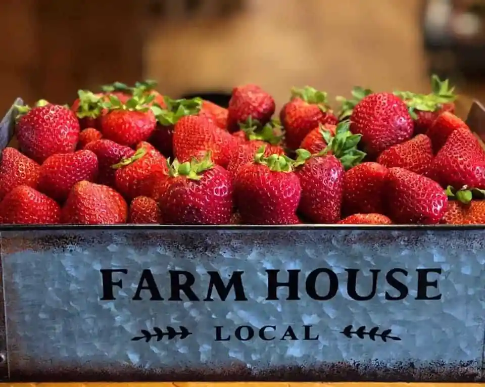 Tendercrop Farm
