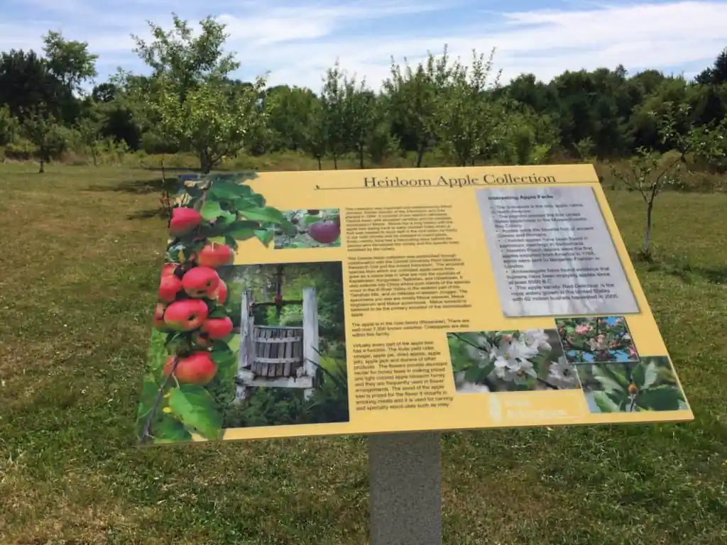 Viles Arboretum