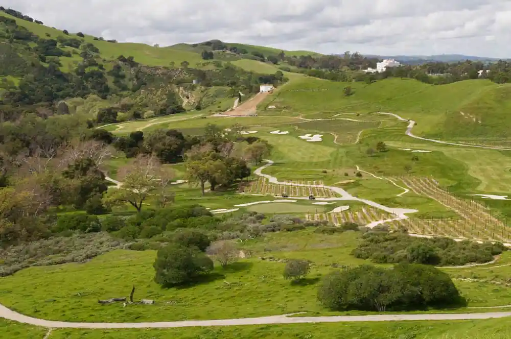 Wente Vineyards