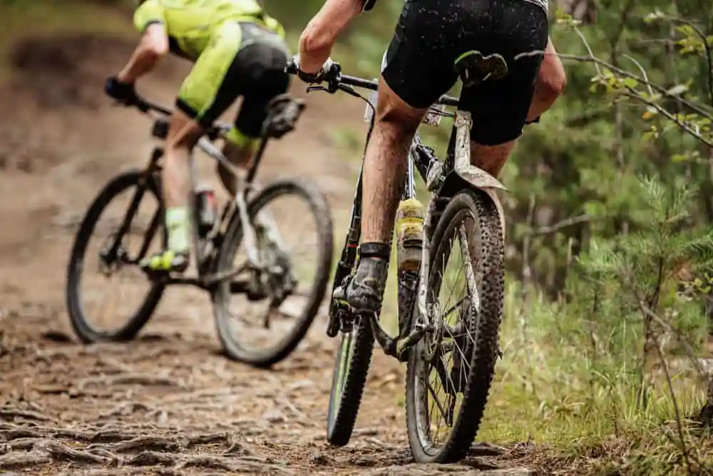 Mountain Biking