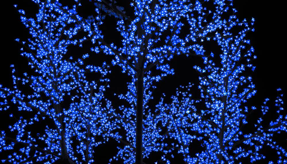Winter Wonderlights