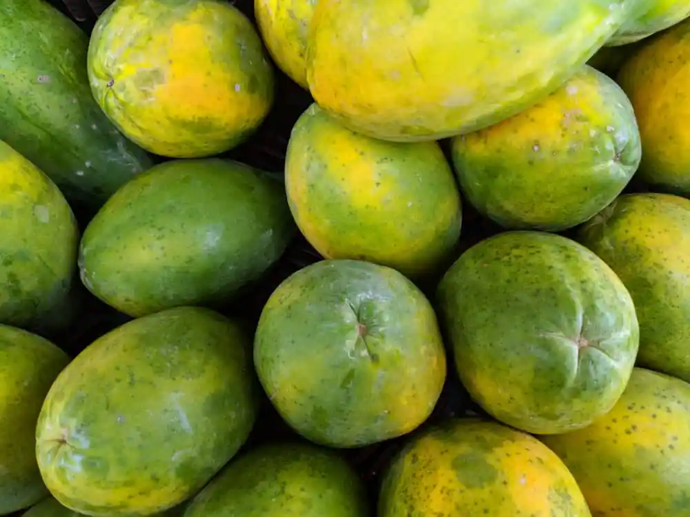 Papayas