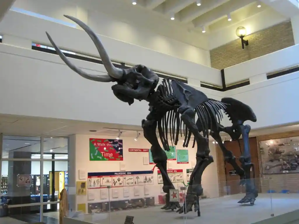 ASU Museum, Jonesboro
