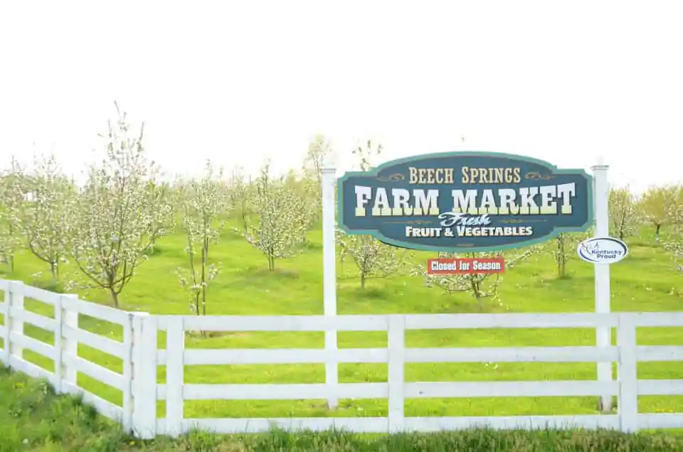 Beech Springs Farm Market