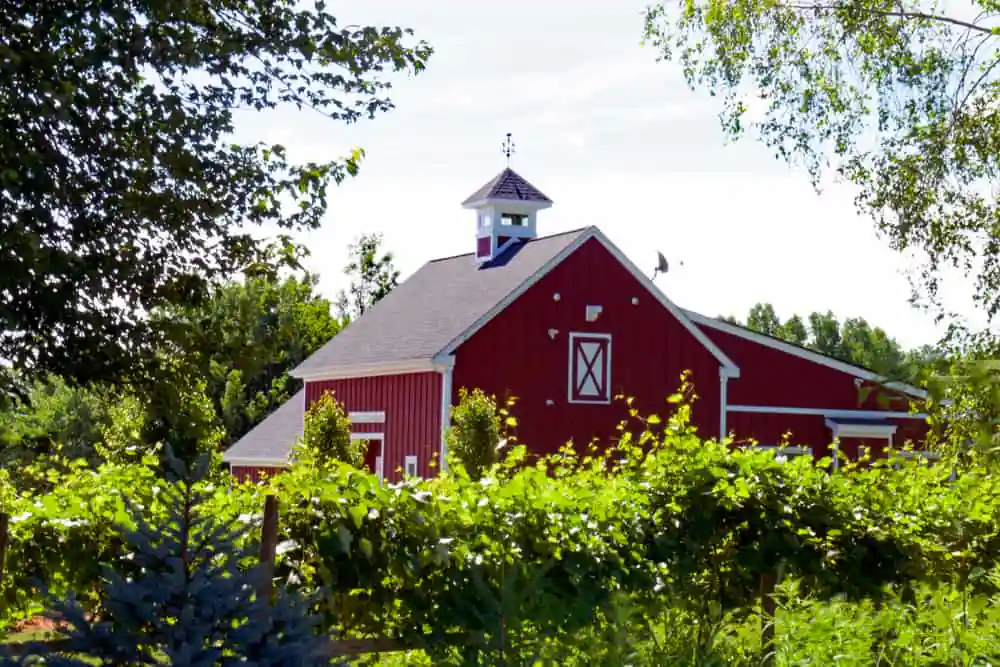 Broken Creek Vineyard and Winery