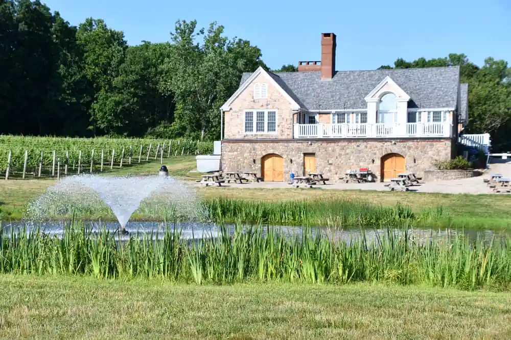 Chamard Vineyards