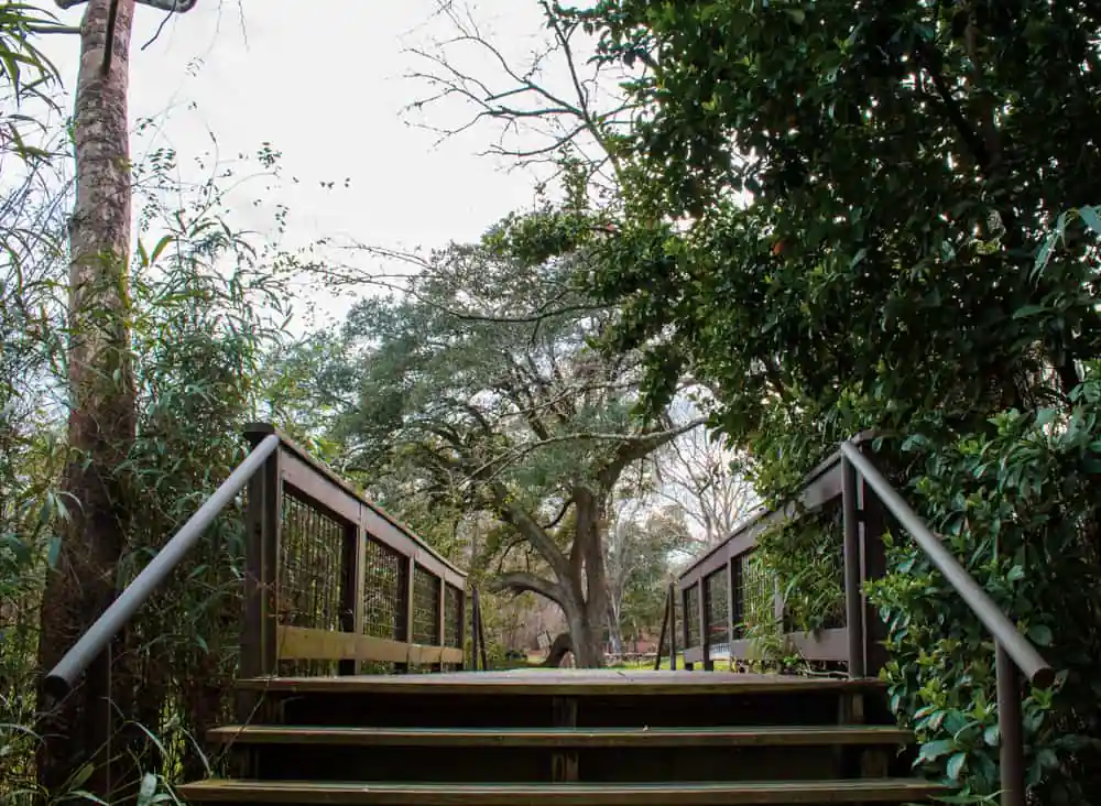 Cohn Arboretum