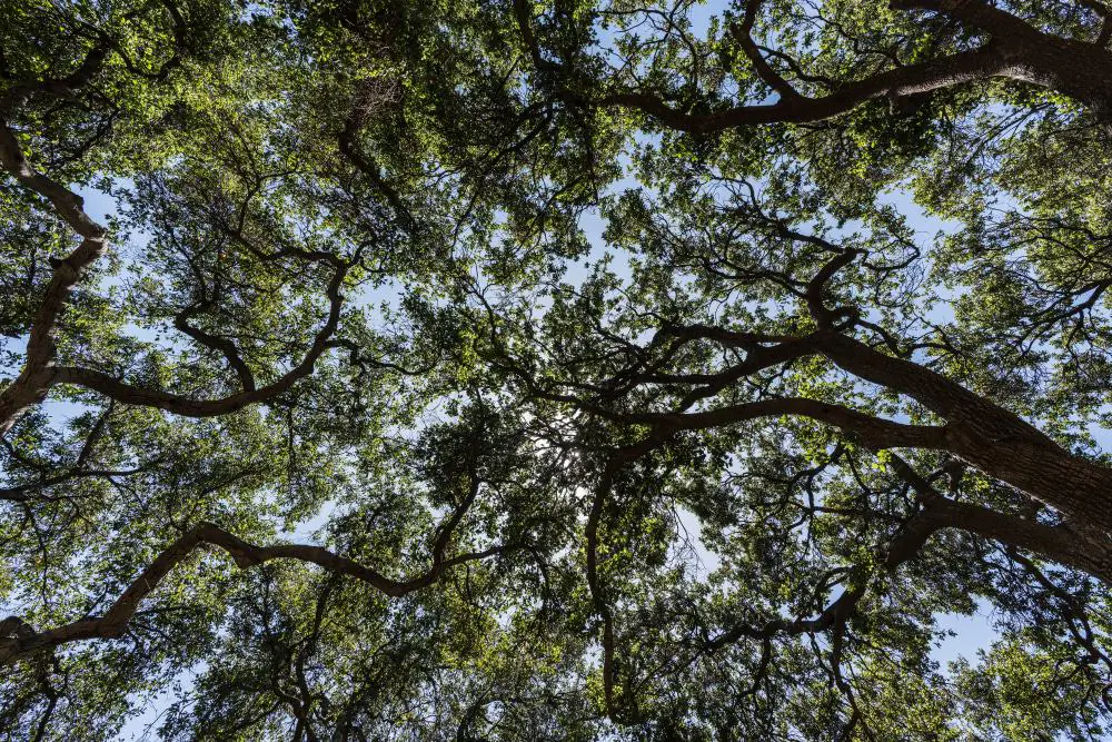 Corriganville Park