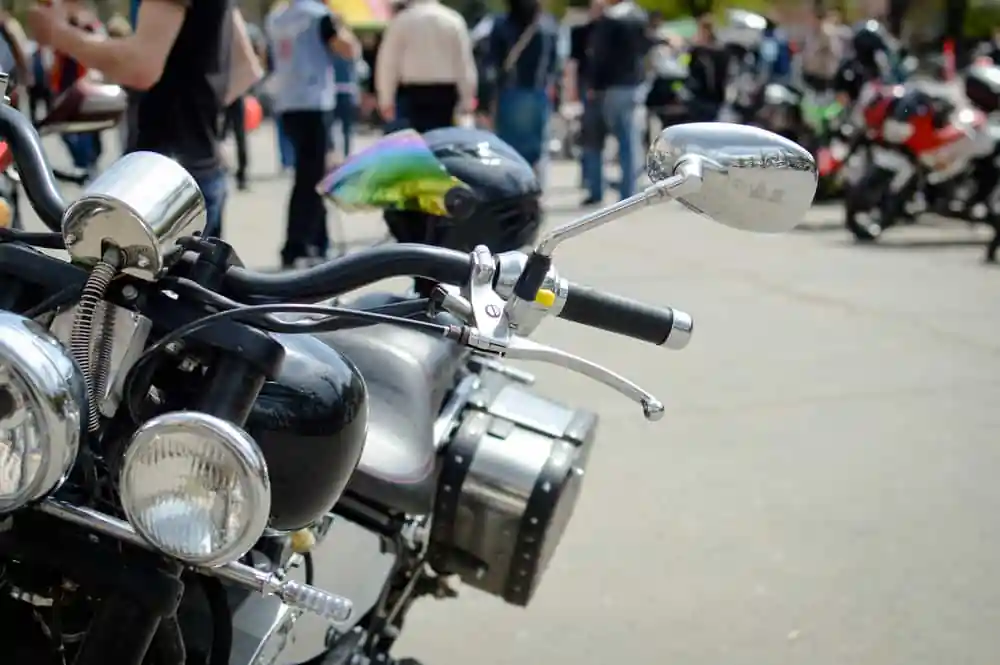 Hog Daze