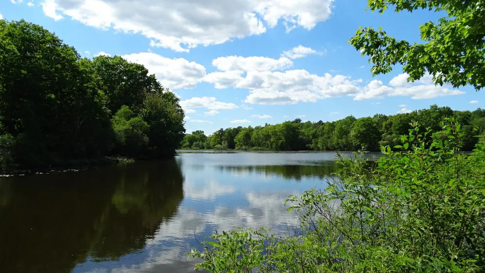 Horn Pond