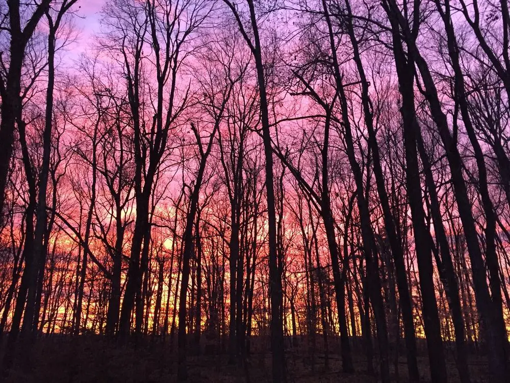 Horse Guard State Park