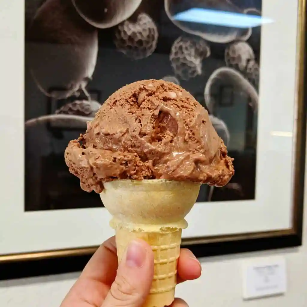 Double Dip Gallery