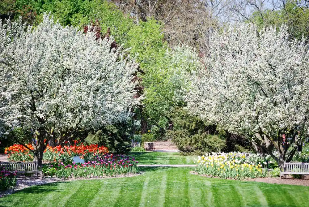 Lilacia Park
