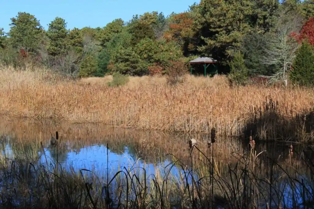 Lyman Reserve