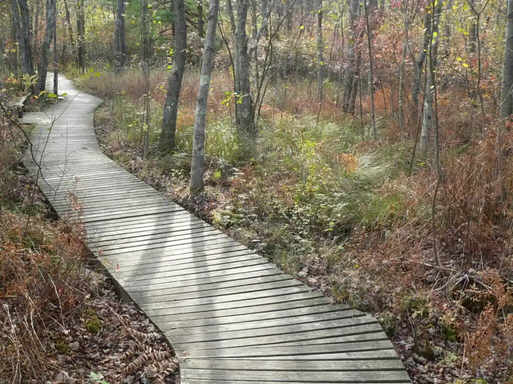 Moose Hill Wildlife Sanctuary