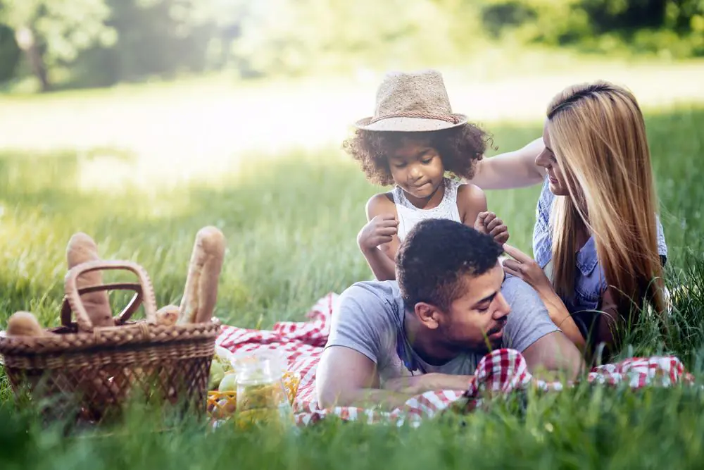 Picnic in the Park