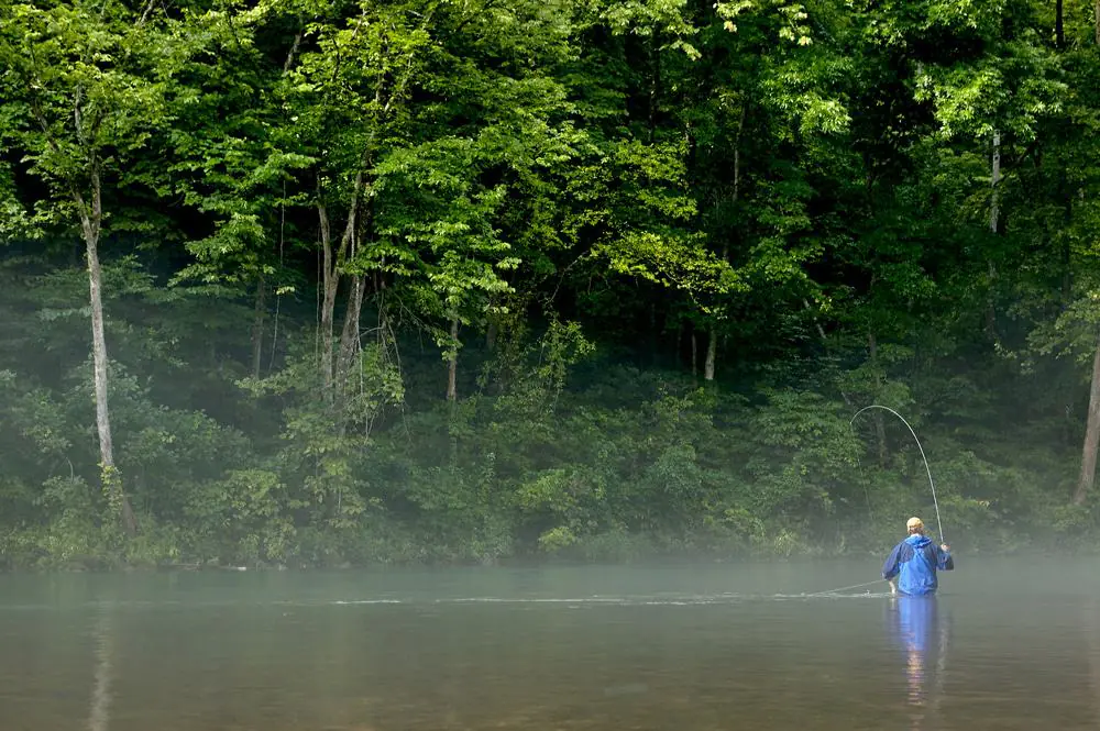 Eleven Point National Scenic River