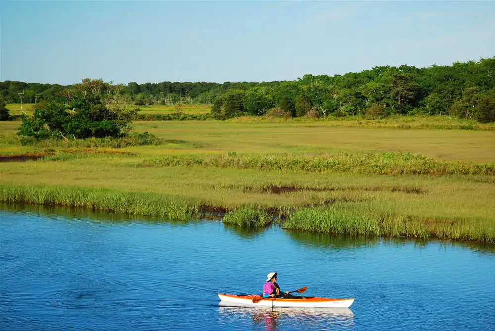 Kayaking, Cape Cod