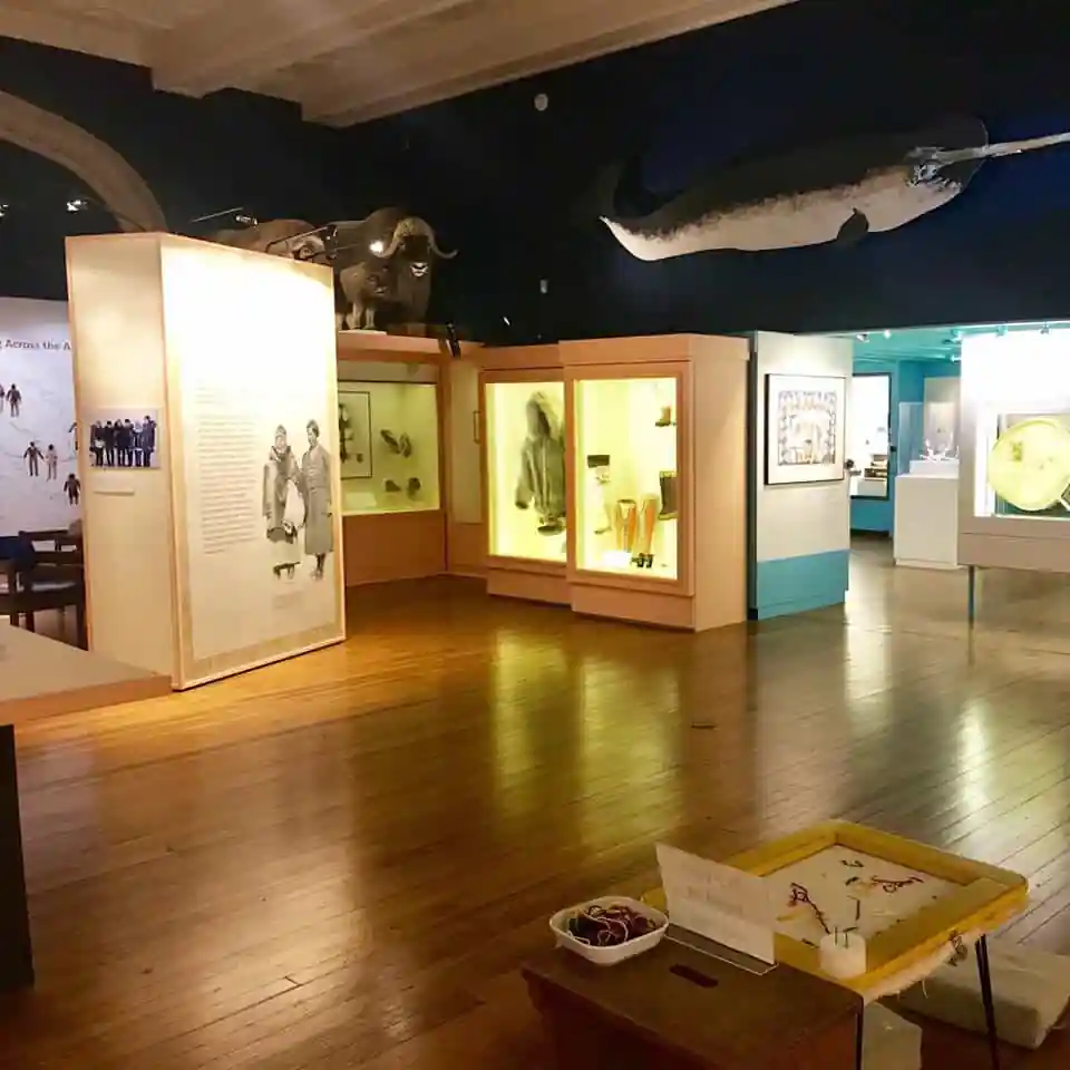 Peary-MacMillan Arctic Museum