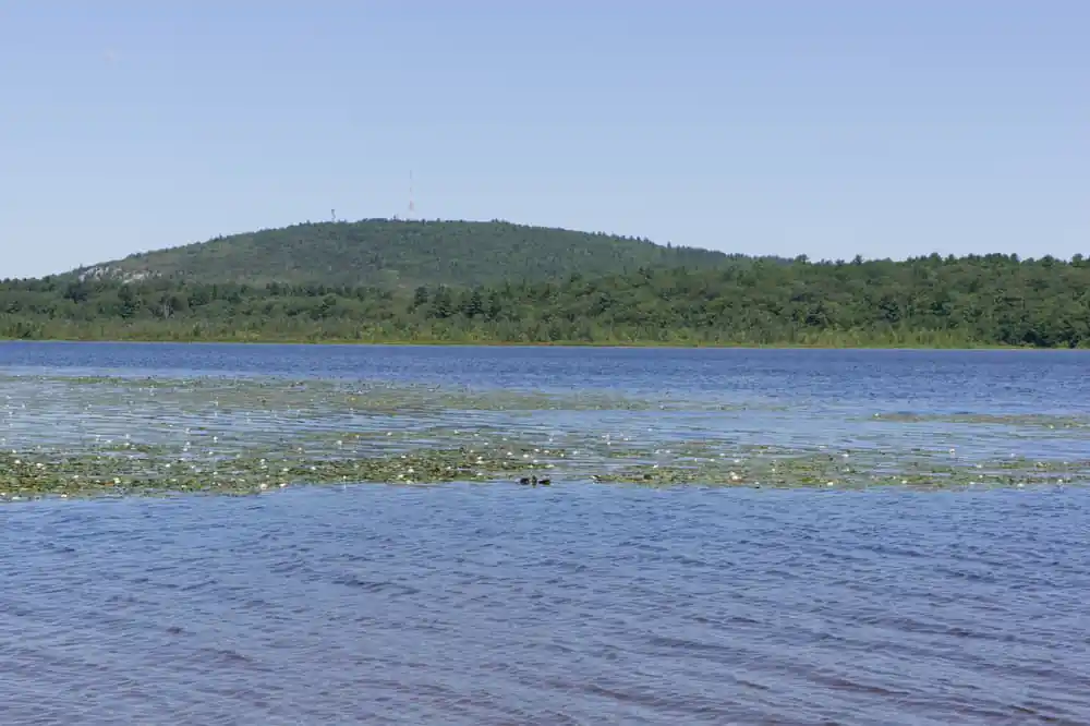 Ponkapoag Pond