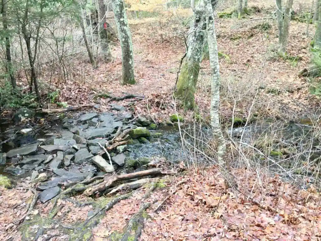 Rocky Run Conservation Area